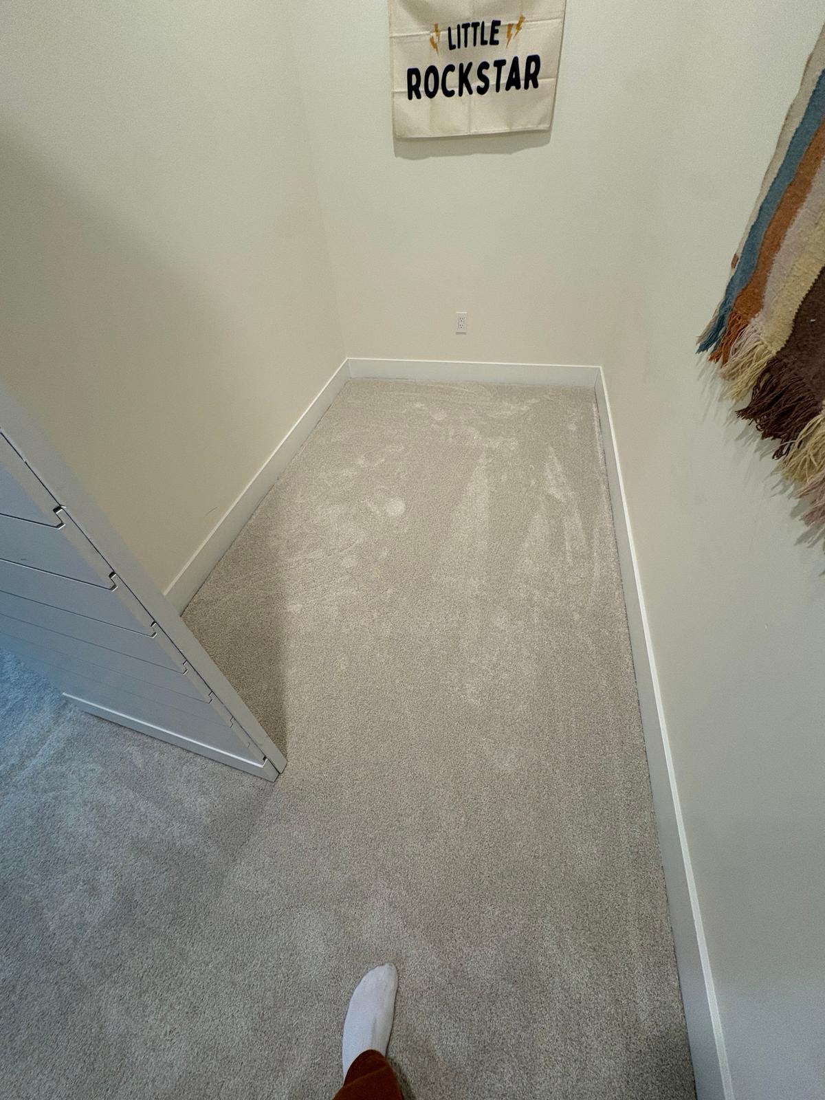 Carpet Installation: Bonus Room & Hallway, photo 5