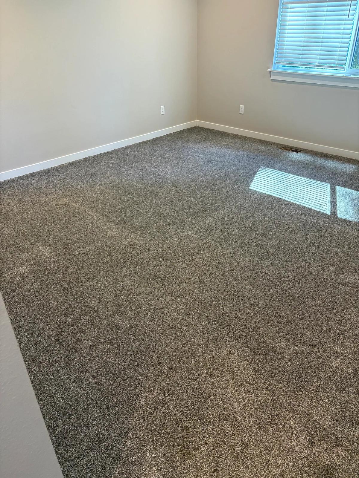 Carpet restretching removed the visible ripples., after